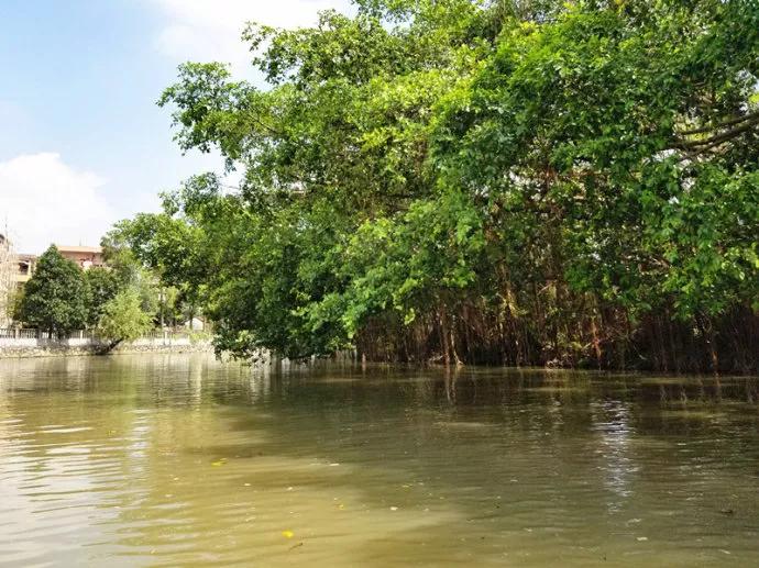 新会纪事,新会做账