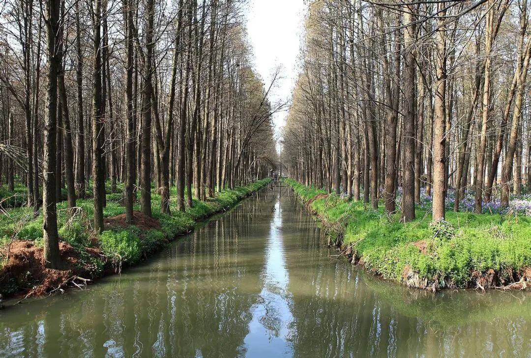 兴化的城市好冷,外地人评论兴化