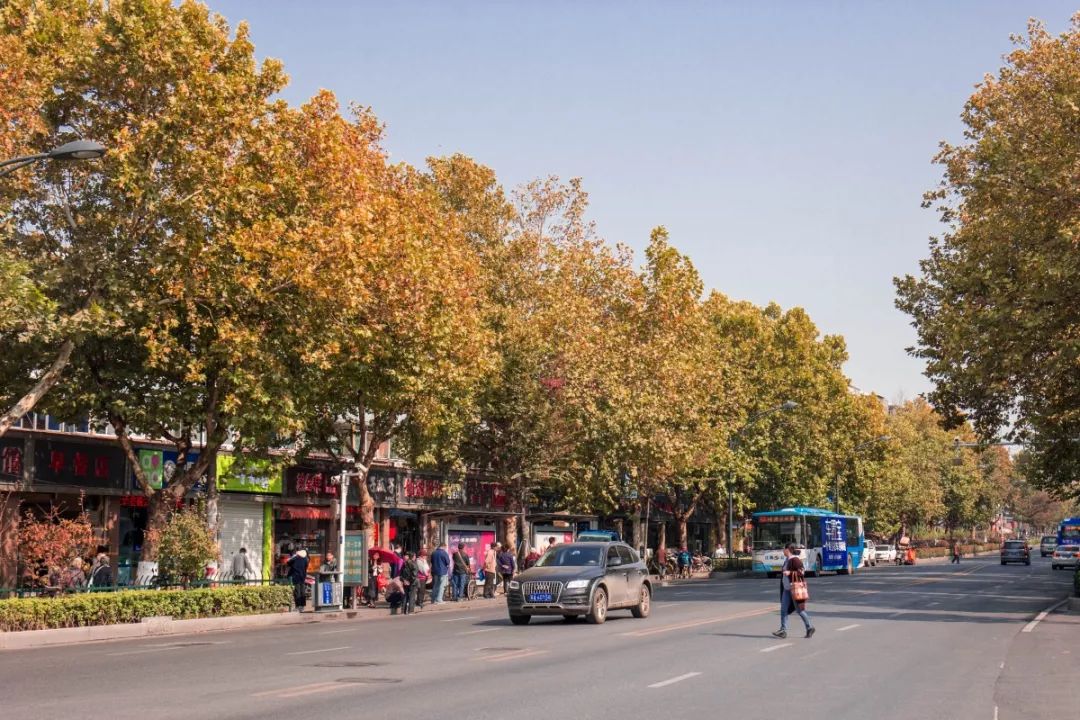 南京市板仓街平面图,南京市玄武区板仓街地理位置