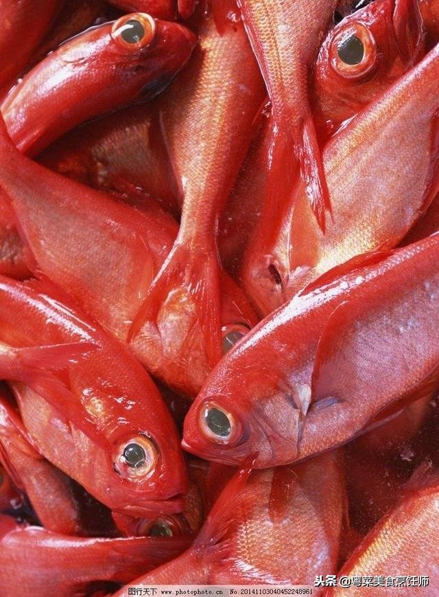 名贵海鲜干货有哪些品种,名贵海鲜水产品种类