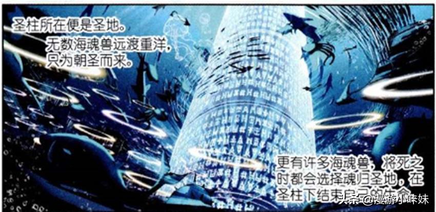 斗罗大陆从最低魂环到最高魂环,斗罗大陆第六魂环怎么选