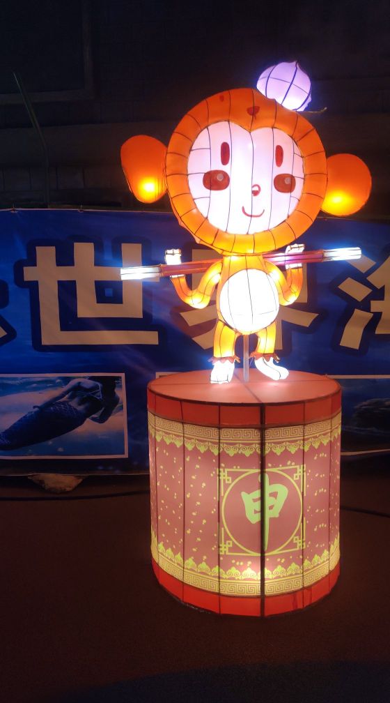 浏阳烟花花灯艺术,长沙市浏阳元宵花灯展