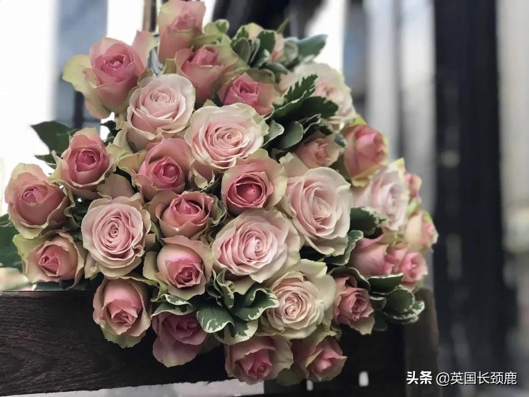 情人节来了怎么少的了fafa?英国鲜花速递服务大盘点:浪漫满分