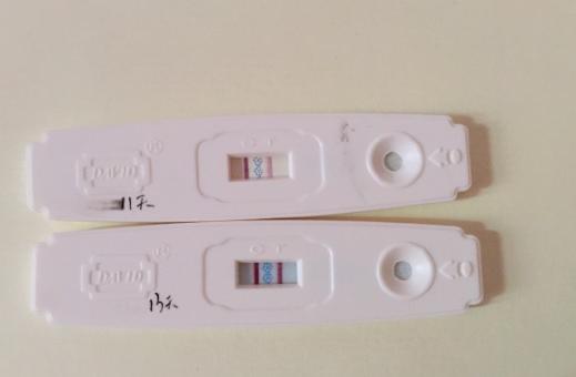 朋友准备怀孕了怎么恭喜她,怎样看是否怀孕