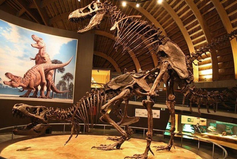 北大超冷门专业,北大最冷门的专业有哪些