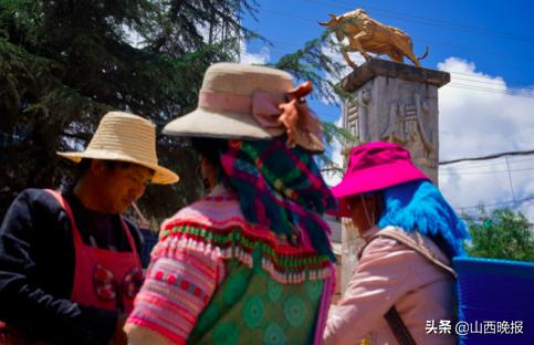 香甜的雪莲果,好吃的雪莲果哪里找