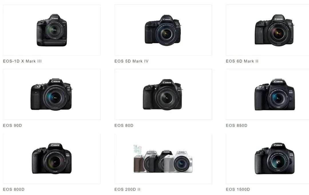 老年人摄影爱好者买什么相机好,相机小白入手什么相机好