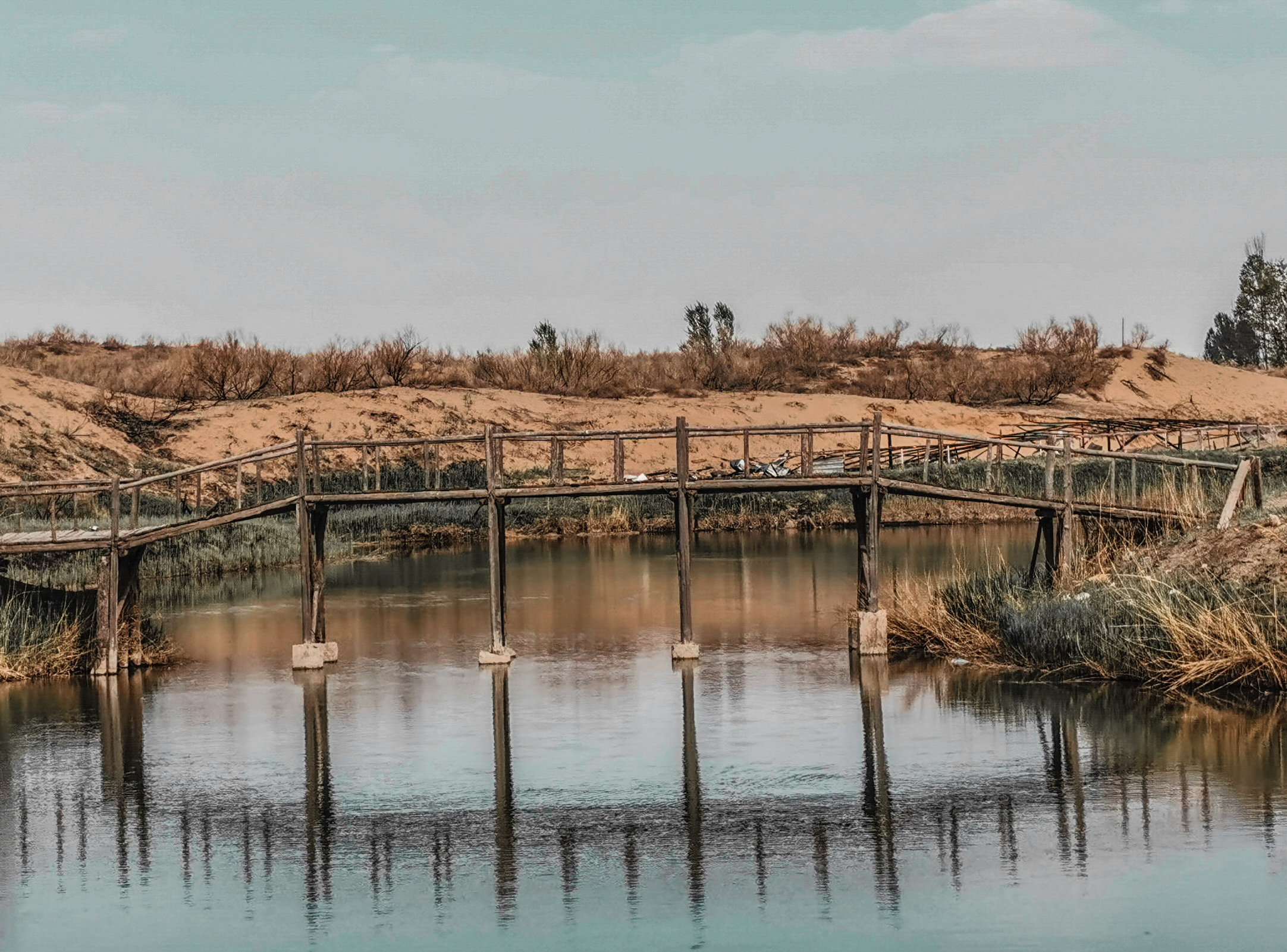 银川周边自驾沙漠,榆林市毛乌素沙漠自驾游