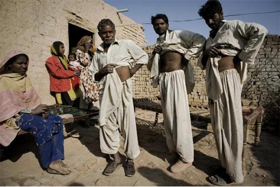 尼泊尔肾谷在哪里,尼泊尔靠肾发财是真的吗