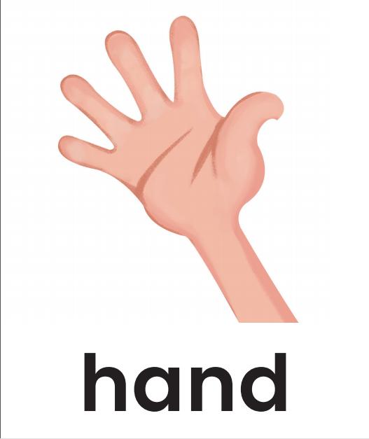 单词记忆小卡片怎么记单词,单词记忆法电子单词卡