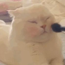 口罩带久了没气色？还不快来解锁这6款春夏新品腮红，超好看!