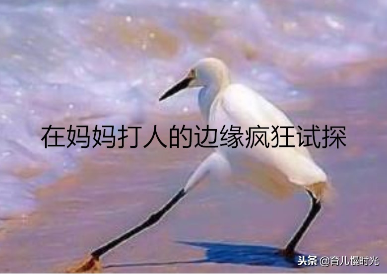 胎宝宝在妈妈肚子发育的全部过程,胎宝宝在妈妈肚子里都在做些什么