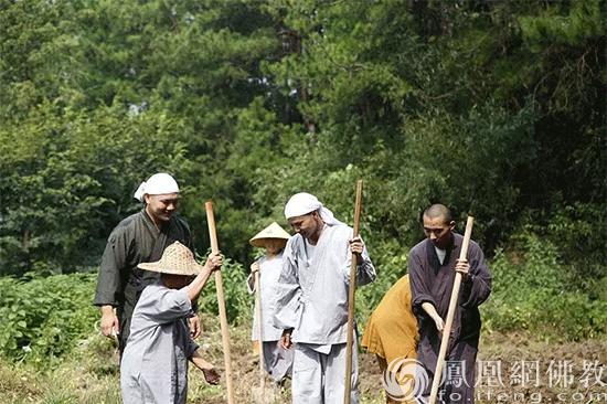 五祖寺和五祖禅院有什么区别,农禅合一起源