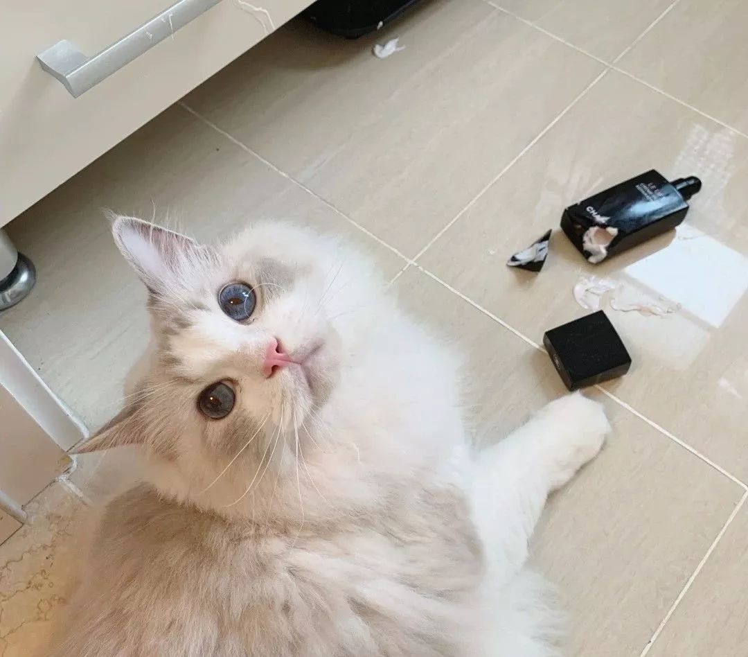 你和富豪的差距只差一个习惯,你和富人的差距只有一点