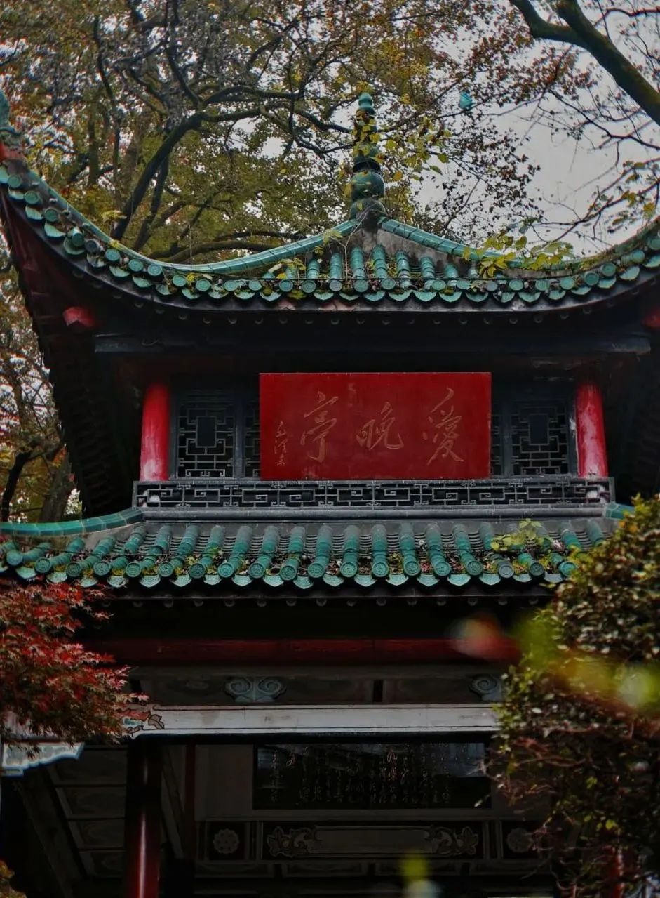 在这些城市上大学，真好