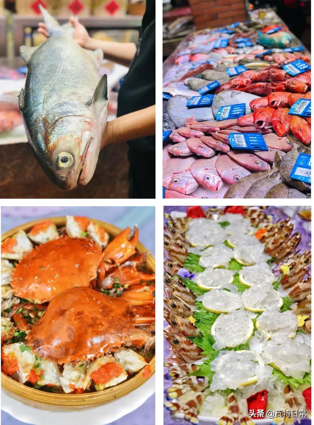 不看攻略的旅行,去厦门旅游一定要知道的36条