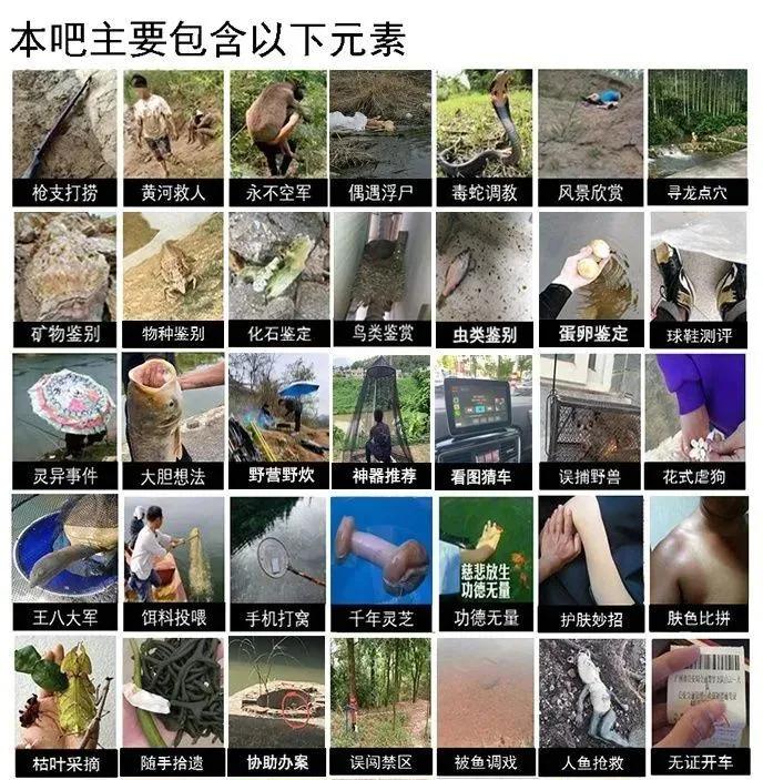 贴吧上的奇葩事,贴吧遇到各种奇葩事