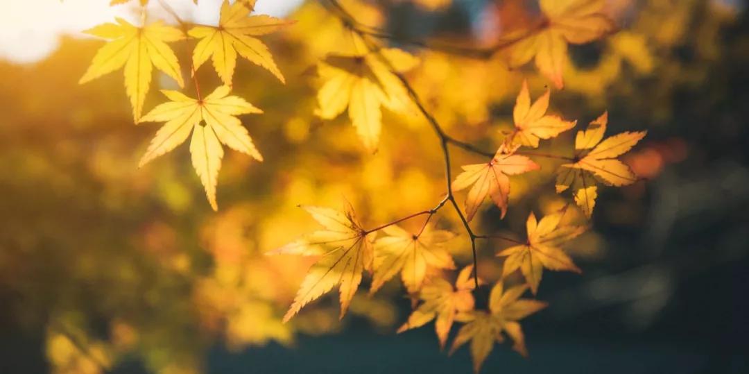 这些新疗法或将有效延长卵巢癌患者的生存期，带来新希望