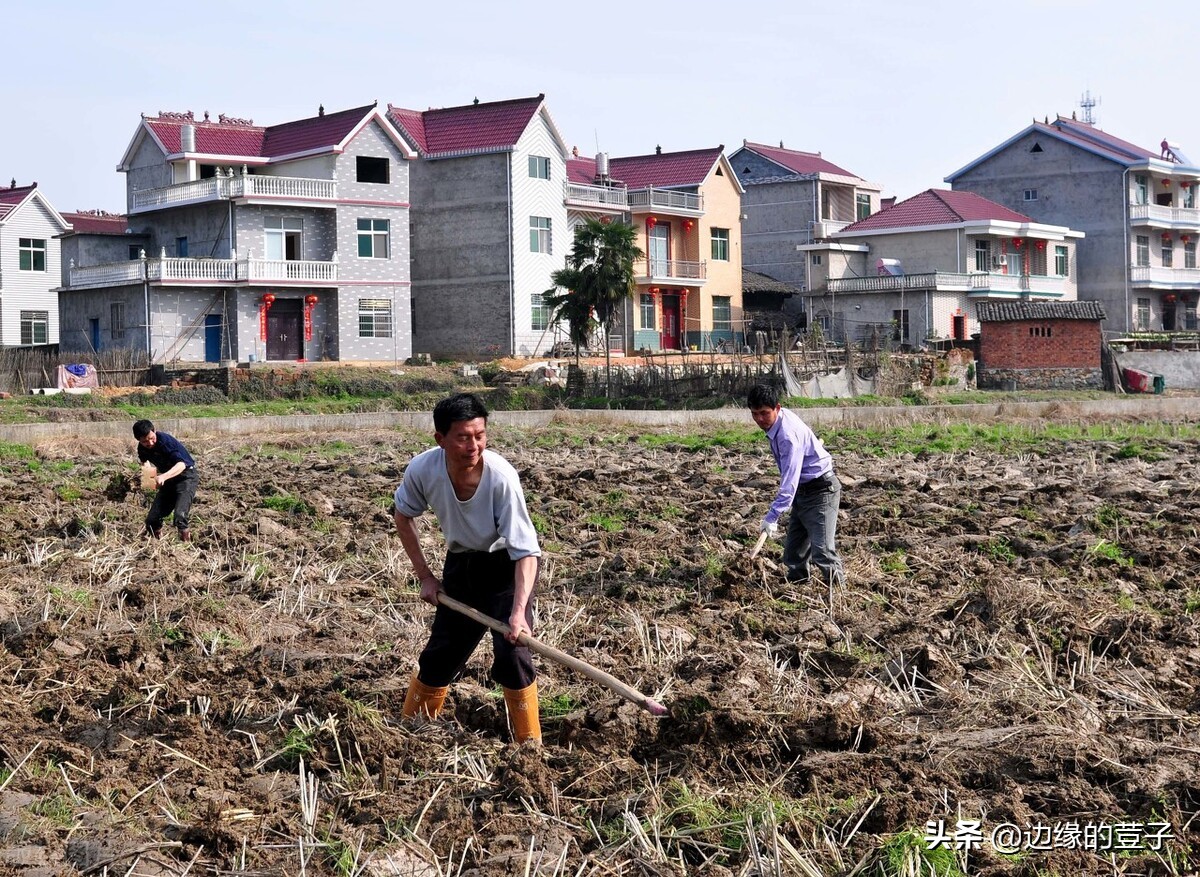 7月份，农村耕地“三不准”落地，集中清理“地闲房空人荒”问题