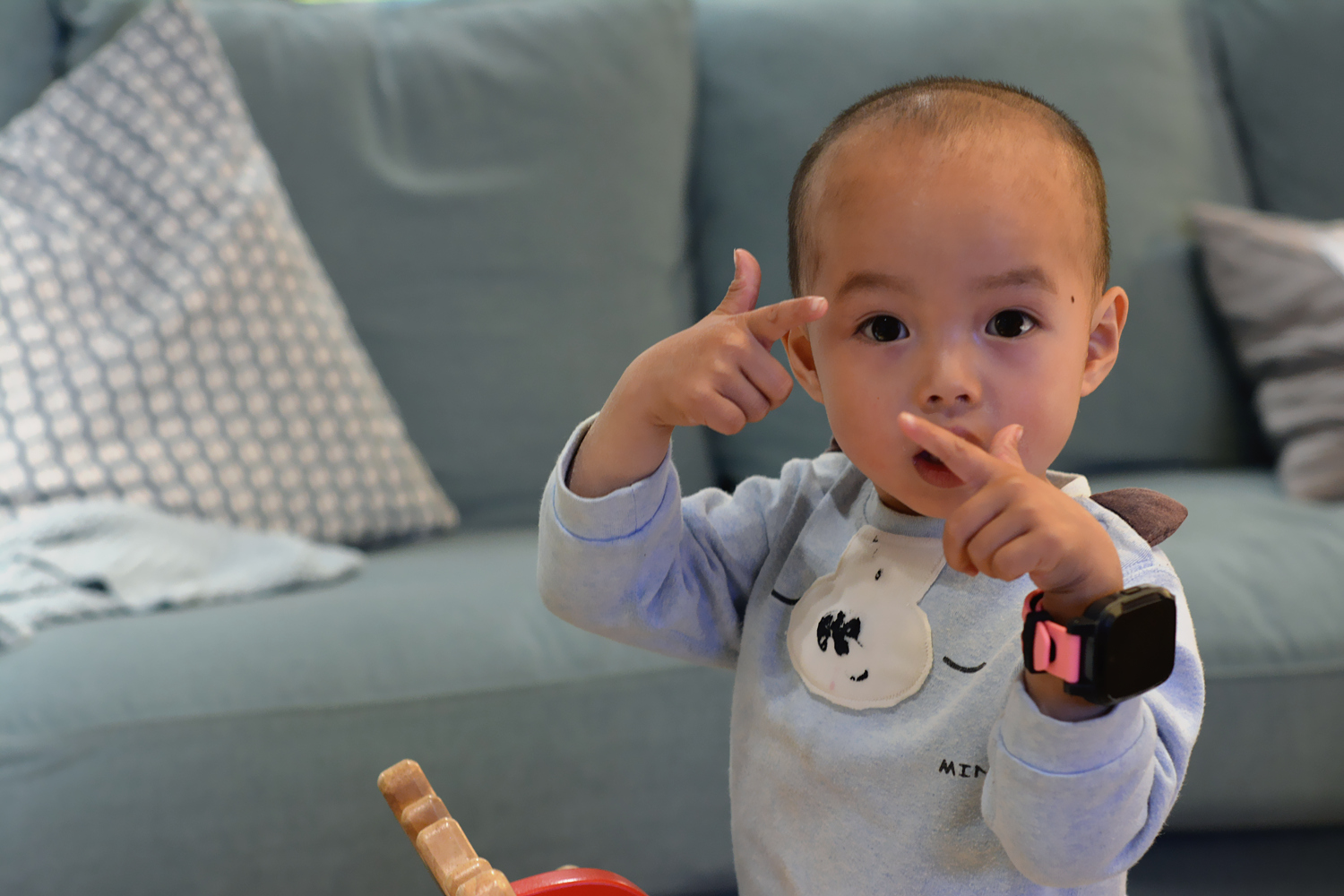 搜狗糖猫电话手表plus2代隐藏功能,搜狗糖猫电话手表t10