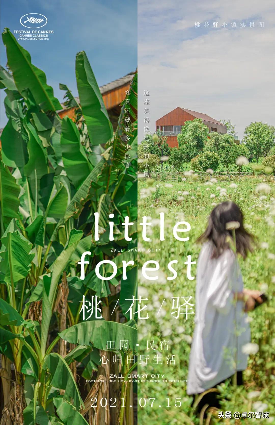 戛纳即将闭幕！但这座美得像电影海报的小镇不能错过