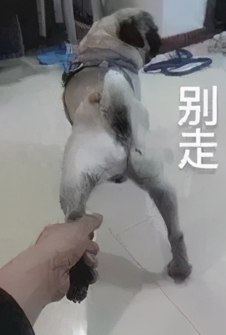 被电信诈骗了30多万,被电信诈骗了十九万