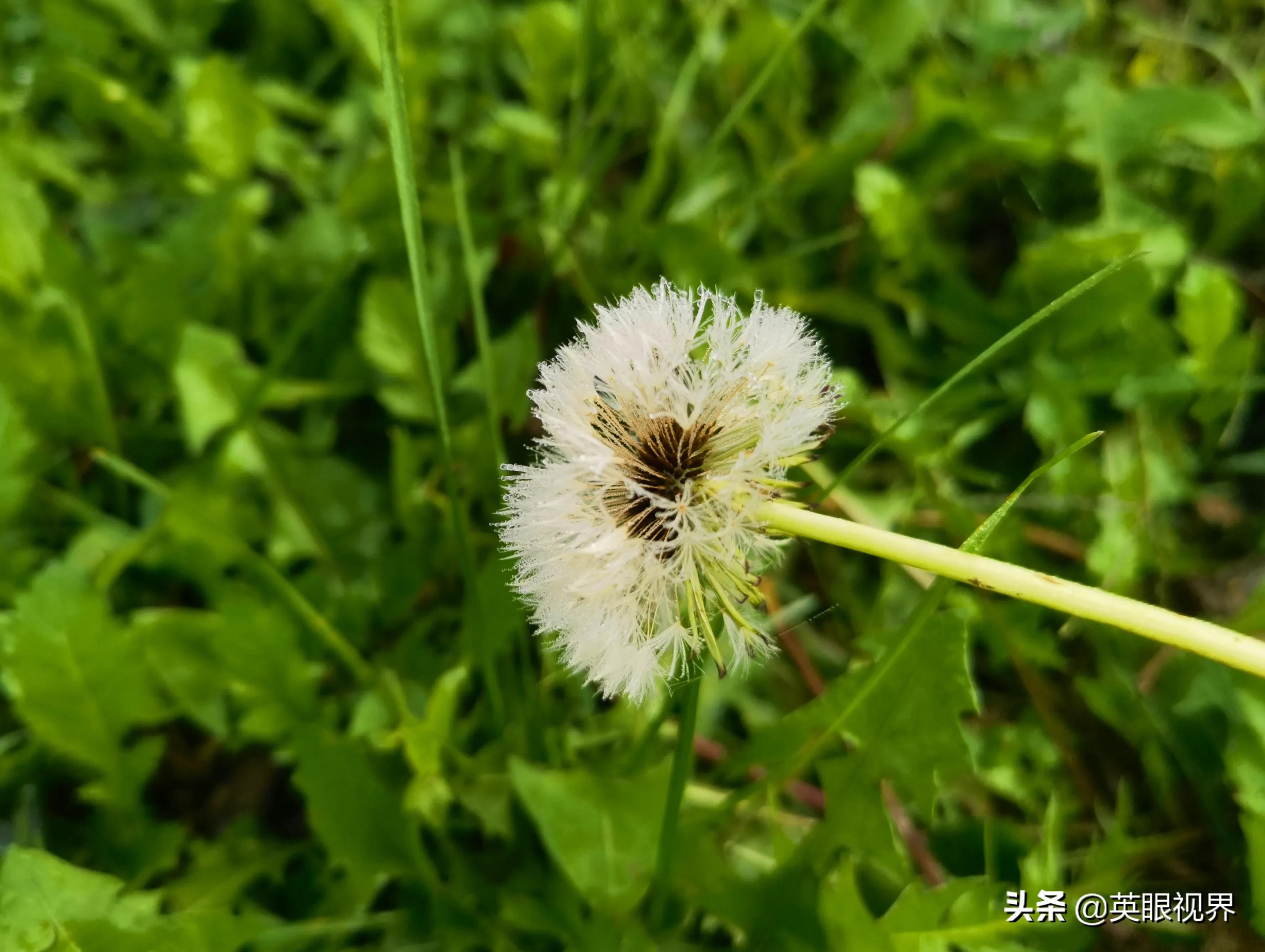 借钱朋友不还怎么起诉,借钱给朋友还不了可以报警吗