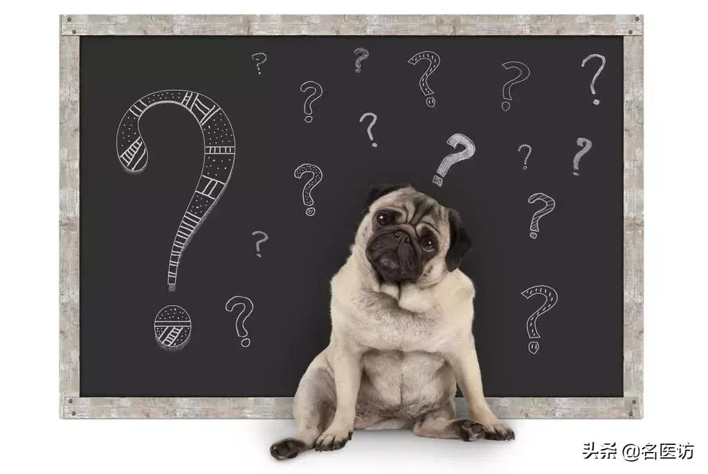 矫正牙科普馆,矫正牙齿科普知识