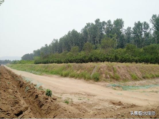 被遗忘的古国,被遗忘的古文明