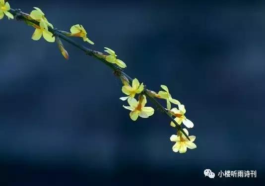 著名儿童文学家说寓言是一个魔袋,寓言是一个魔袋仿写