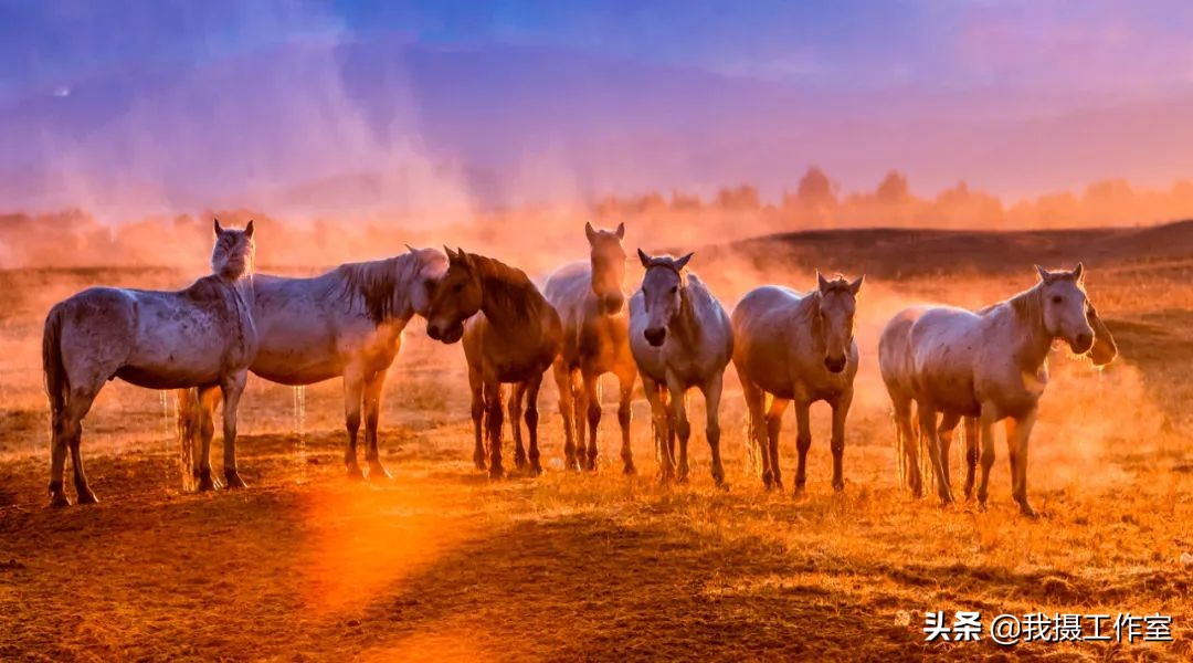 第16届国际摄影艺术展获奖作品,第29届全国摄影艺术展览作品集