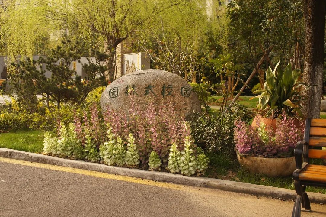 强势围观这所五星级初中——南京市第十三中学红山分校