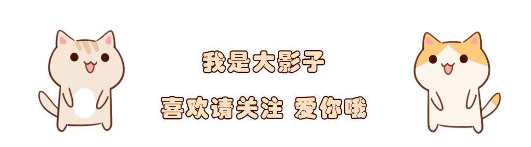 昨晚，我家猫叼来了一件蕾丝内衣…