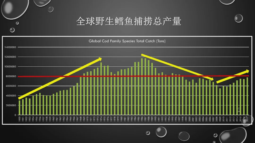 樊哥说中国美食,樊哥讲冰鲜生鲜