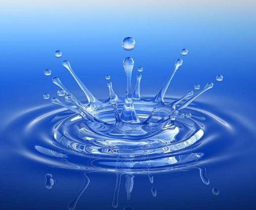 油头去屑控油止痒洗发水老爸评测,六款公认最好的洗发水控油