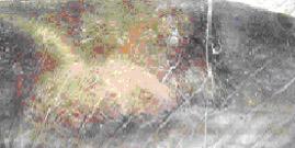 轮胎异常损坏原因图解,轮胎损坏图片