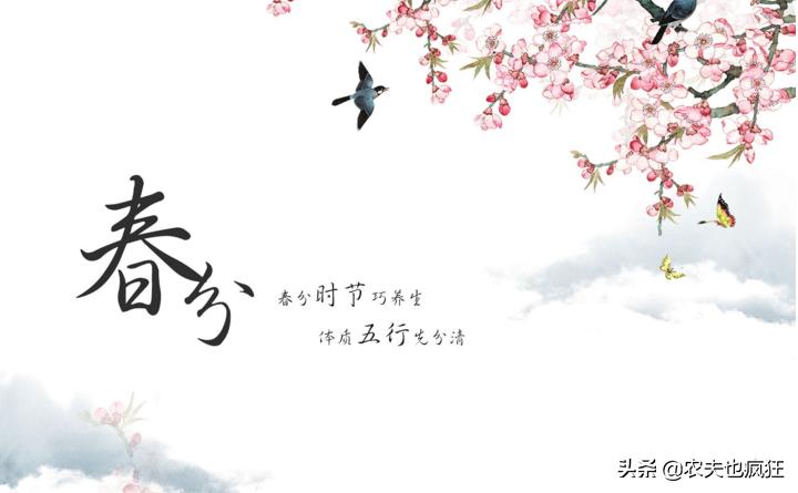 春分的基本含义特征是什么,春分节气的含义的理解