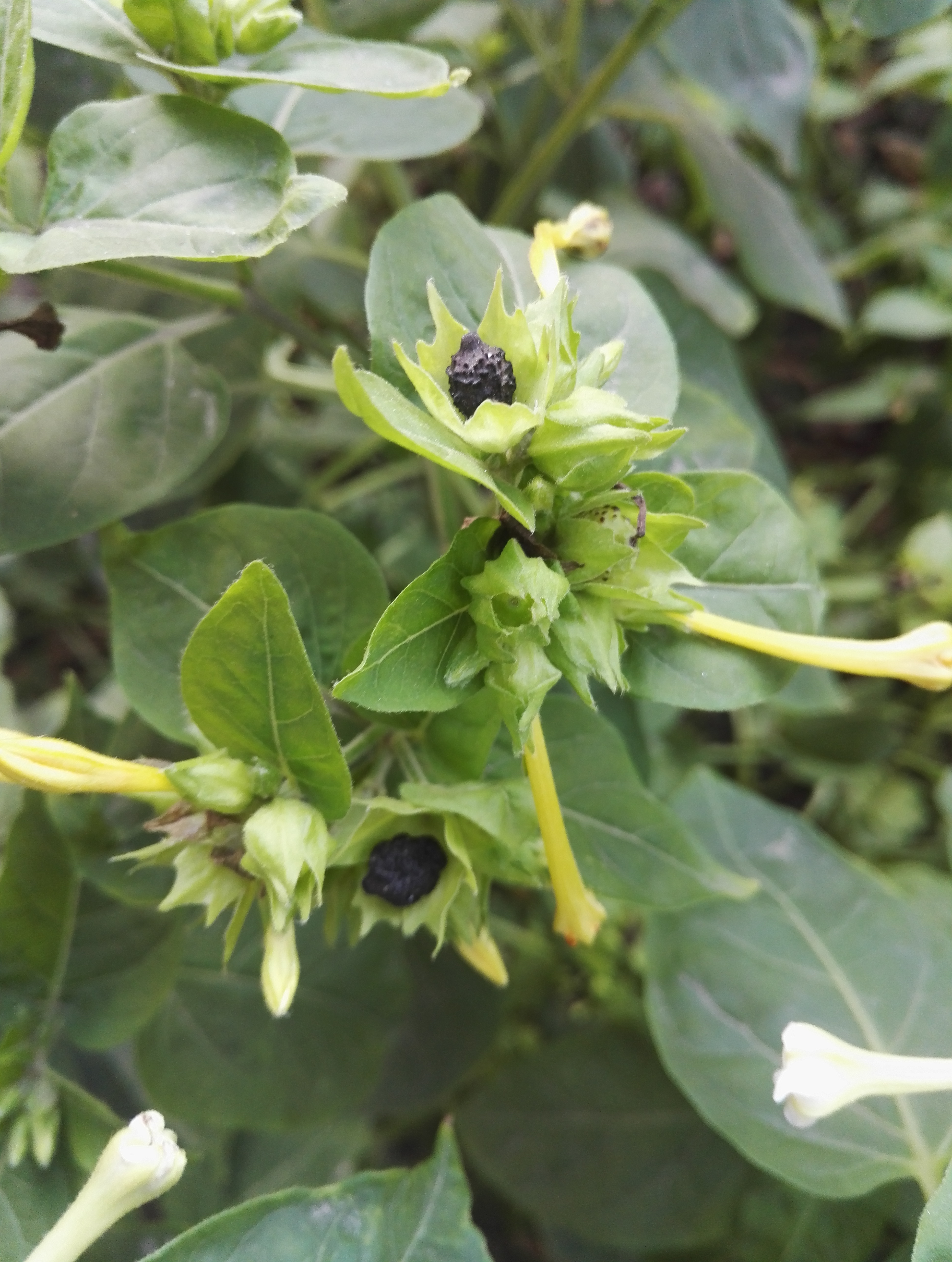 童书出版妈妈幸福教师培训感想