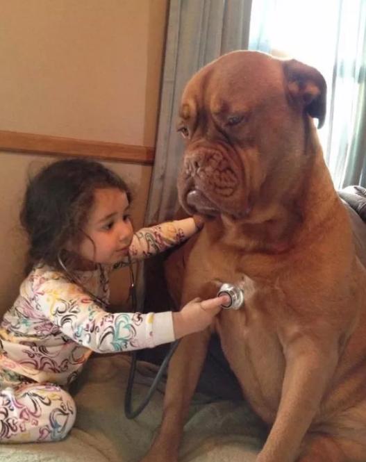 妈妈不舍宠物猫，婴儿肺里竟有猫毛?宠物与宝宝如何兼得?