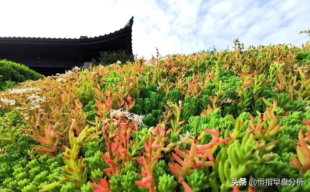 让人恍然大悟句子,令人恍然大悟文章