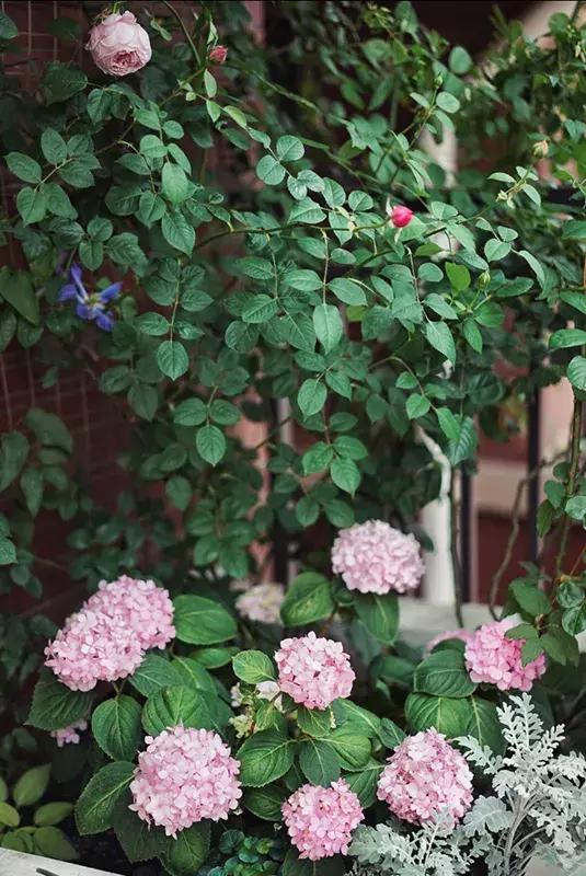 最有质感的家欢迎借鉴,打造浪漫有格调的家