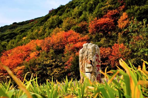 520去玩啥,520去哪里玩推荐