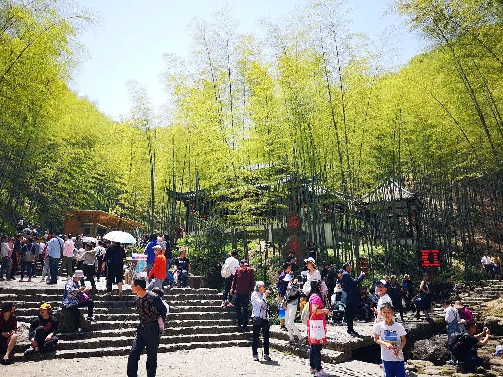 清凉竹海有什么好玩的地方,清凉避暑好去处竹林边唱歌等你