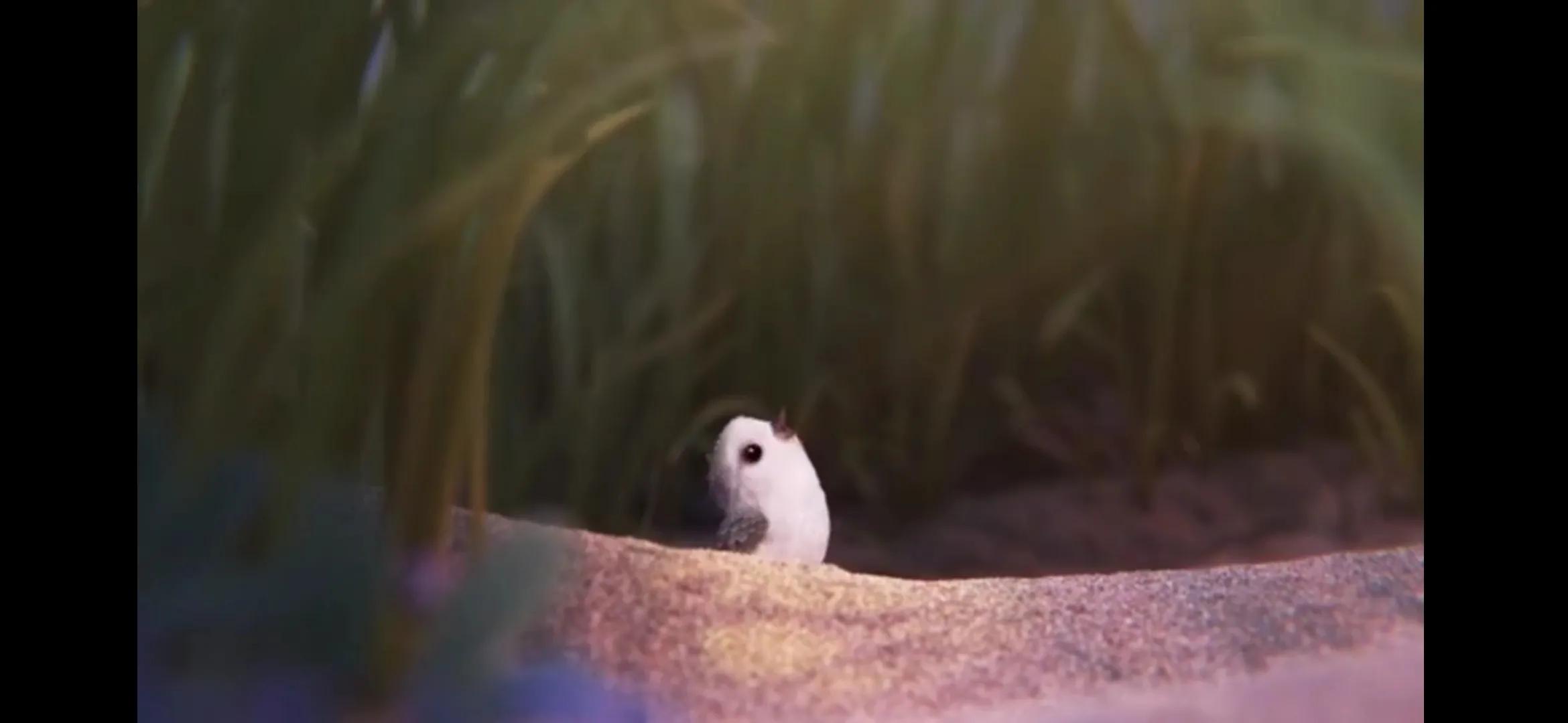 教育孩子成长的一些心得,教育孩子的正确方法和感悟