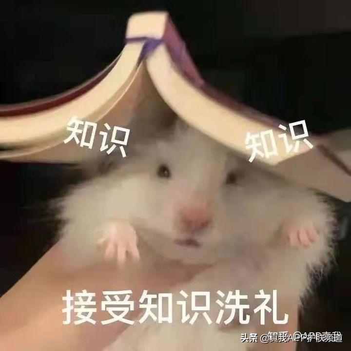 水杨酸棉片前后正确的护肤步骤,unny水杨酸棉片可以去黑头吗