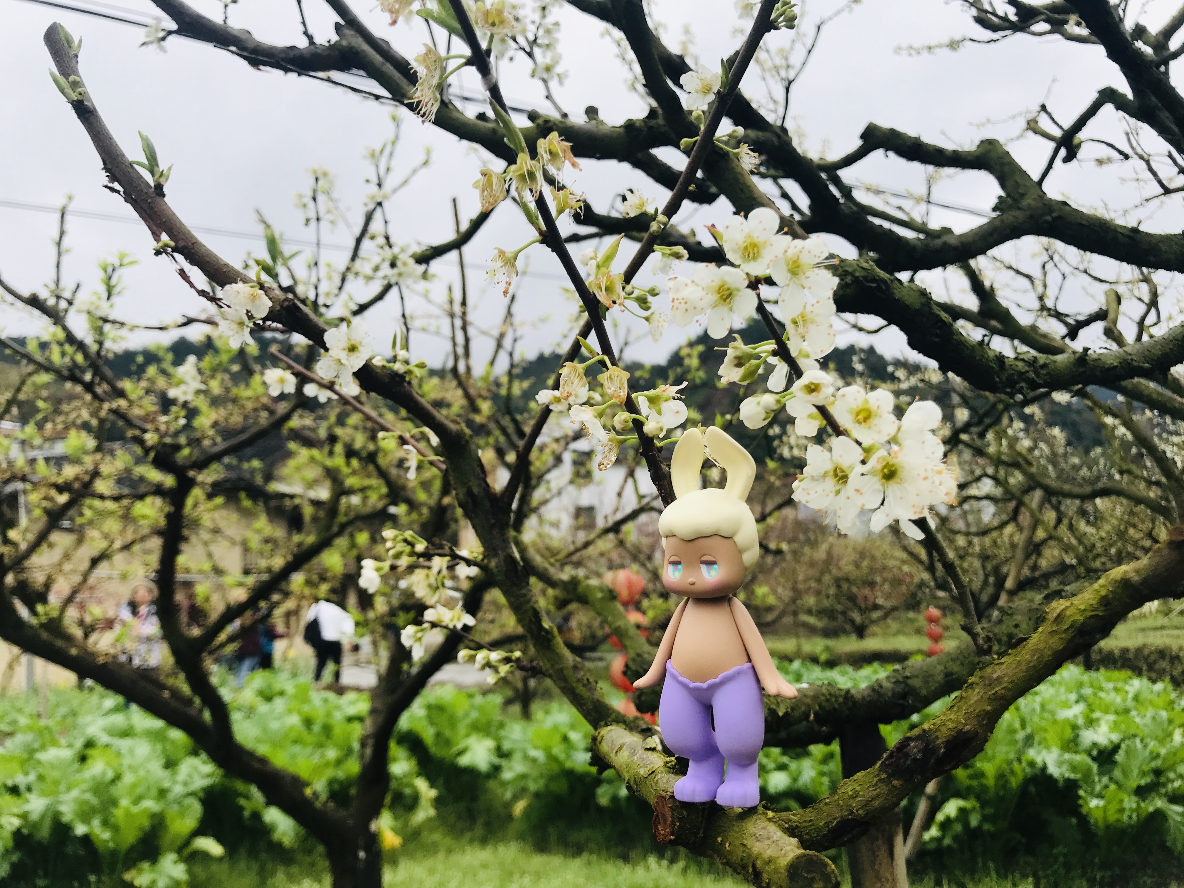 95后超前消费,95后00后的消费