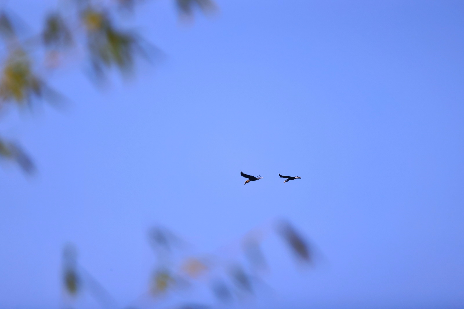 如何用eosr5拍摄视频,eosr5摄影