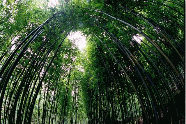 欢呼!余杭9条精品旅游线出炉!瓶窑、塘栖、中泰...太惊艳了!