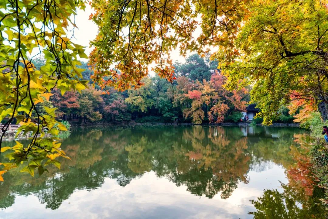 去苏州旅游攻略必备,去苏州旅游的最全攻略