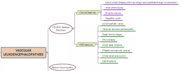 路线图怎么做好看,路线指引图怎么做好看